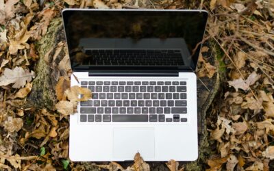 Building Your Career as a Digital Nomad: The Principles of Location-Independent Work