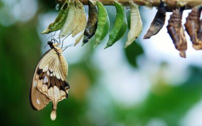 Digital Nomad Life: When Are You Gonna Settle Down?