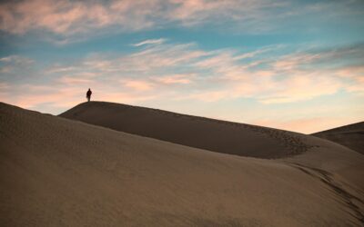 Your Purpose for Traveling: Mental Nomadism and Other Takeaways